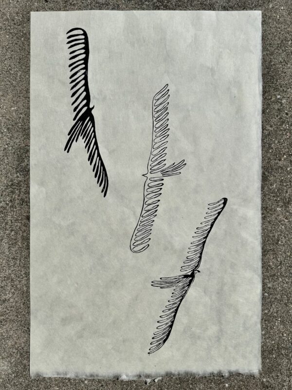  - Image 4 of 7