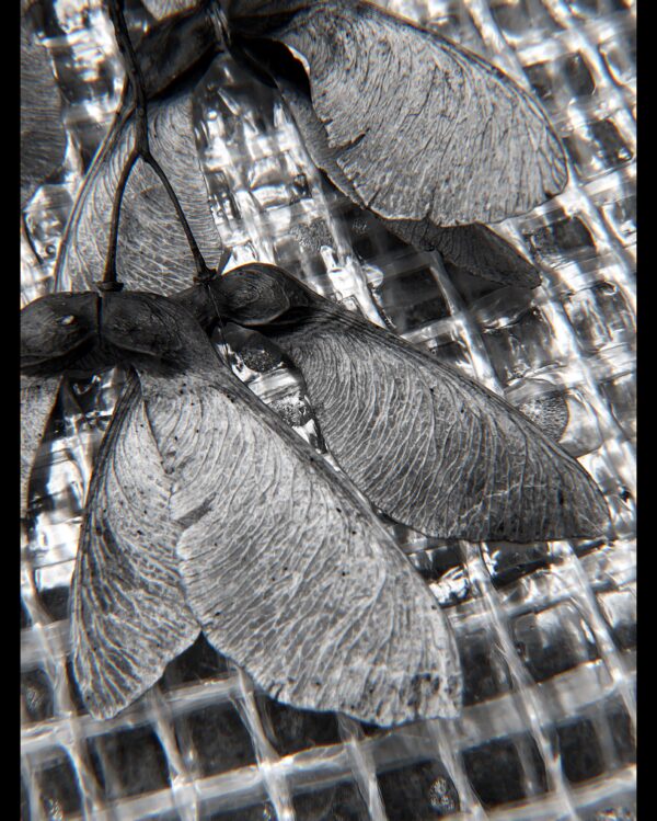  - Image 1 of 1