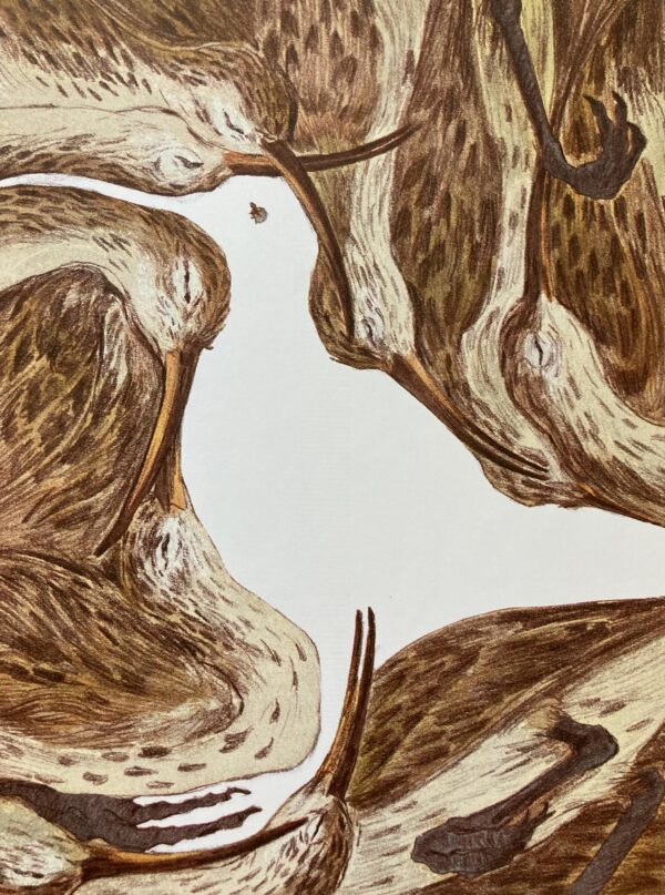  - Image 4 of 8