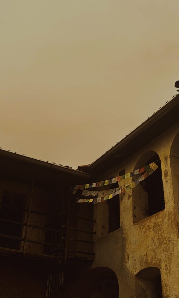  - Image 3 of 5