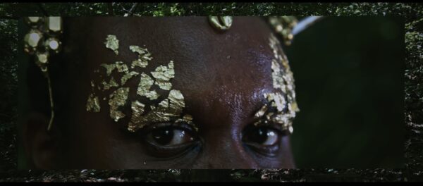  - Image 4 of 8