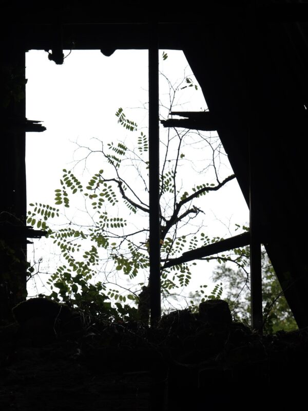  - Image 5 of 5