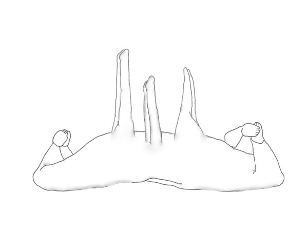  - Image 1 of 8