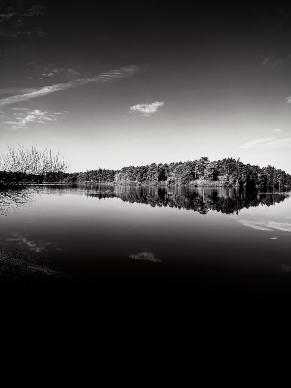  - Image 3 of 5