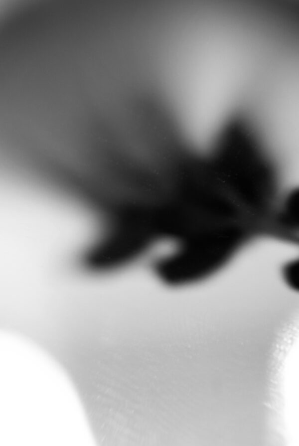  - Image 1 of 2