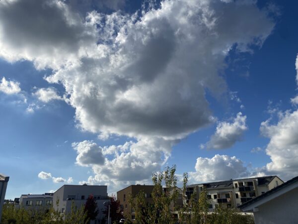  - Image 2 of 8