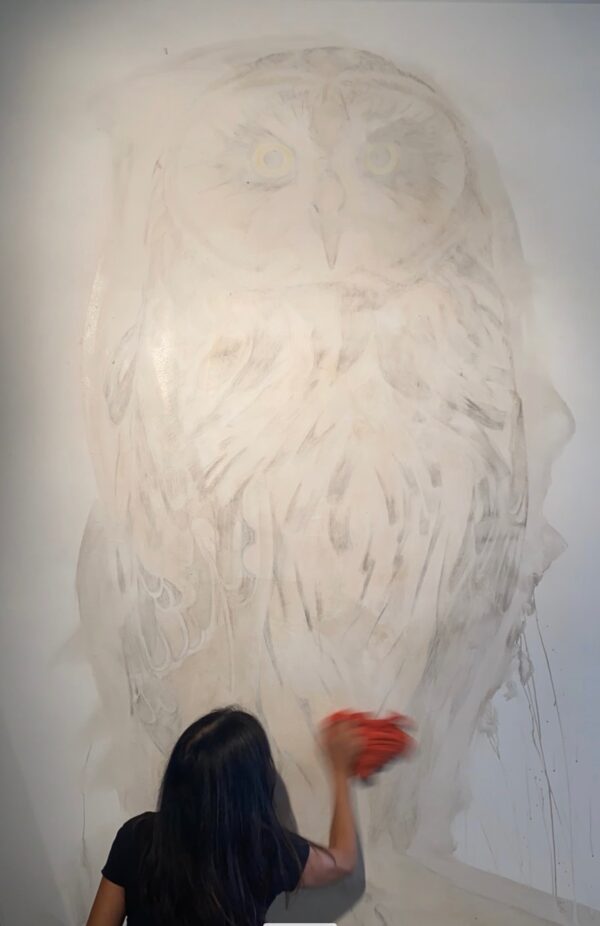  - Image 6 of 7