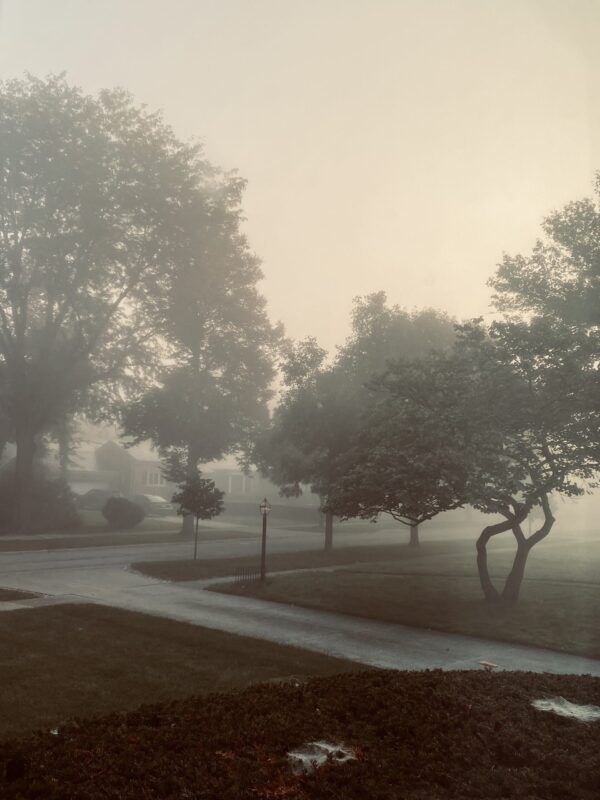  - Image 6 of 7