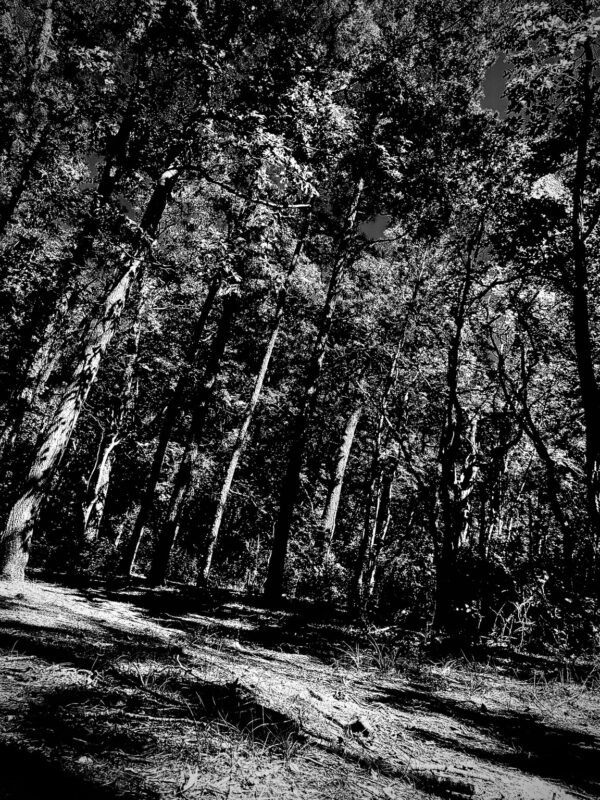 - Image 5 of 5