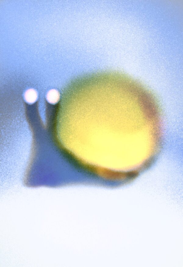  - Image 3 of 3