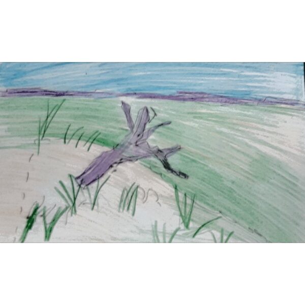  - Image 8 of 8