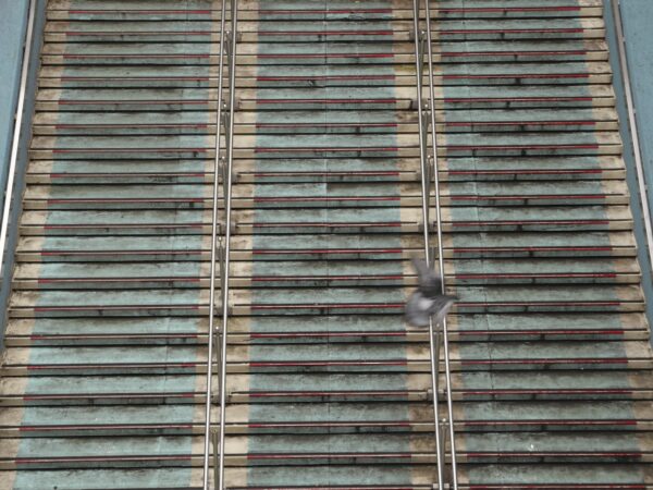  - Image 4 of 4