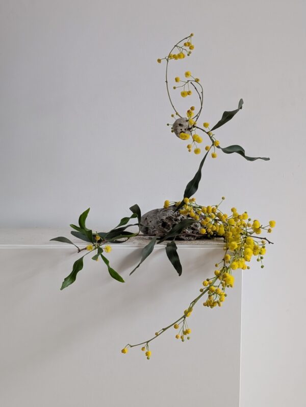  - Image 2 of 8