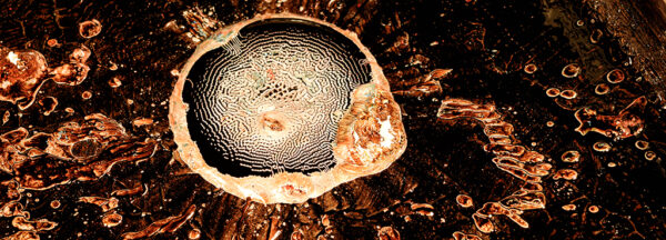  - Image 1 of 8