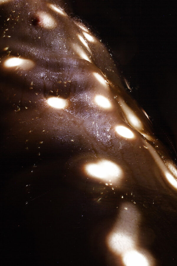  - Image 3 of 8