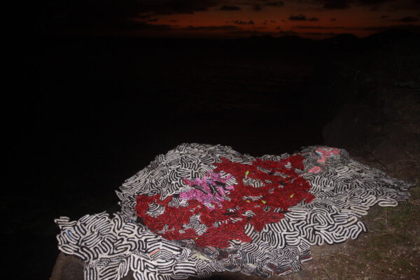  - Image 6 of 8