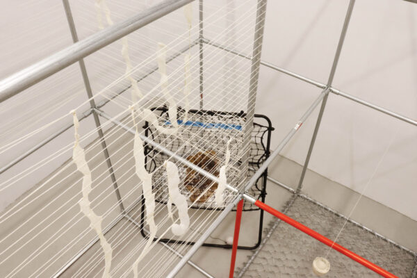  - Image 4 of 8
