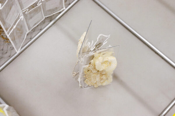 - Image 6 of 8