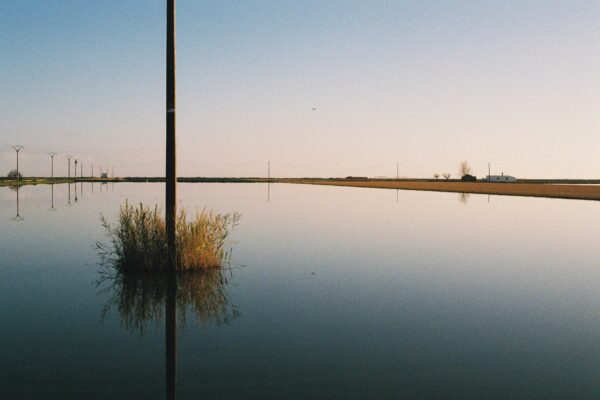  - Image 8 of 8