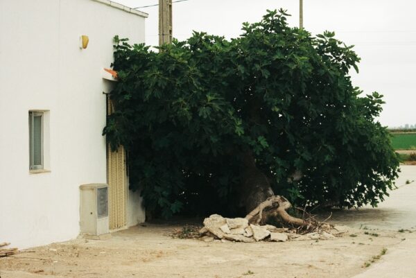  - Image 3 of 8