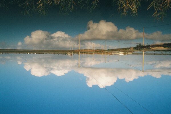  - Image 7 of 8