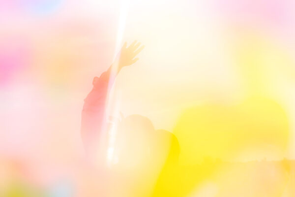  - Image 3 of 8