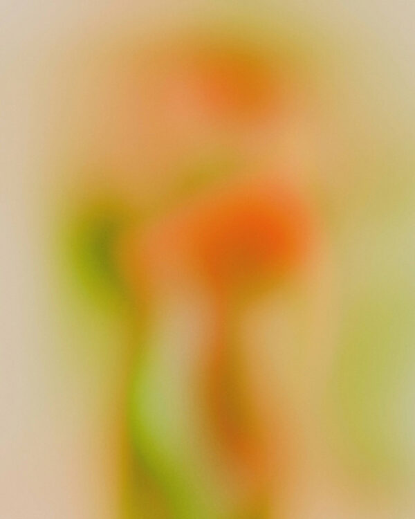  - Image 2 of 8