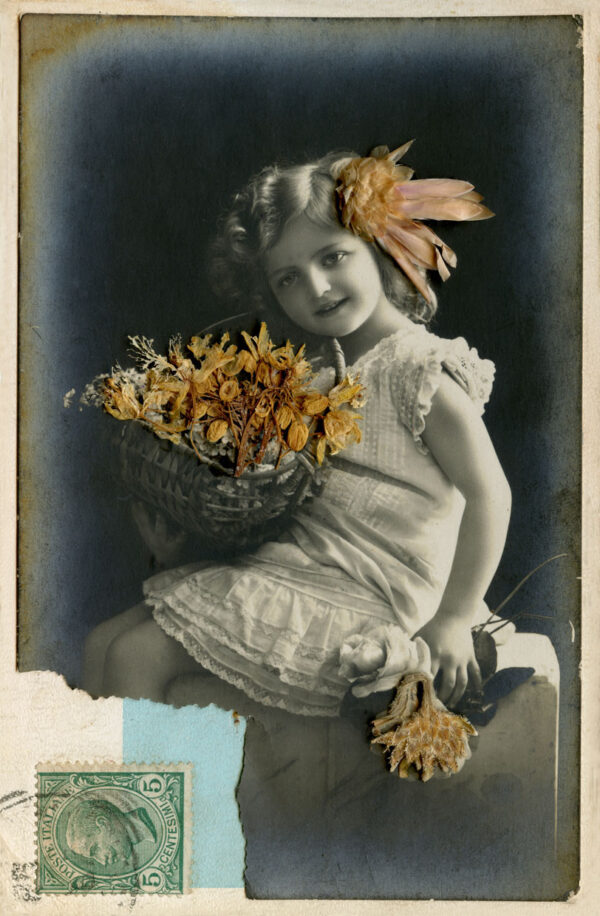  - Image 3 of 7