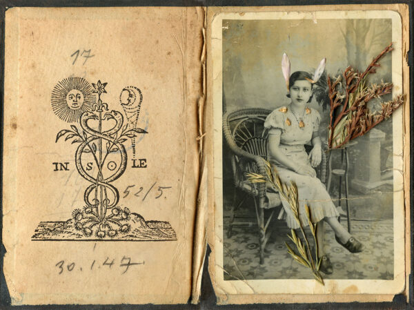  - Image 4 of 7