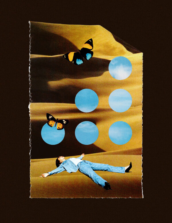  - Image 3 of 7