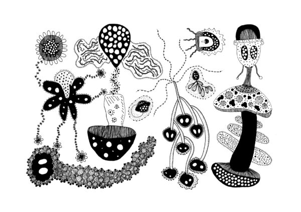  - Image 7 of 8