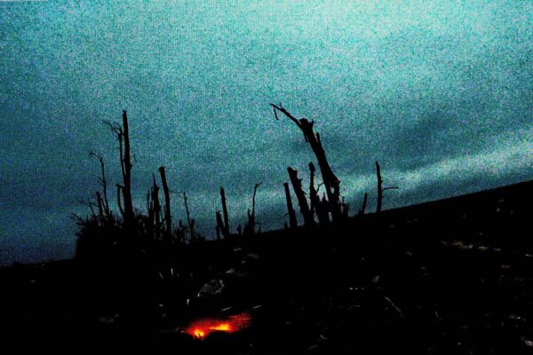 - Image 3 of 8