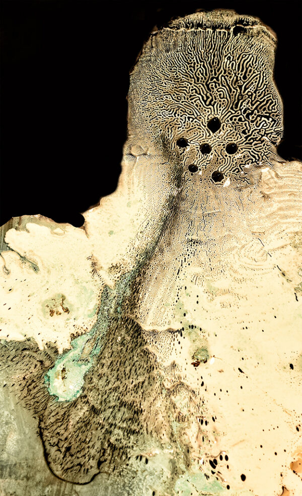  - Image 2 of 8
