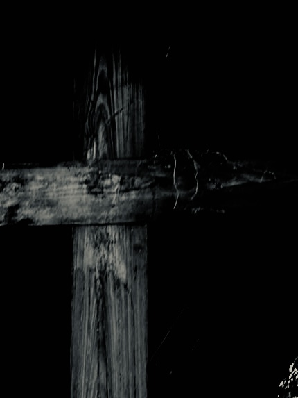  - Image 3 of 8