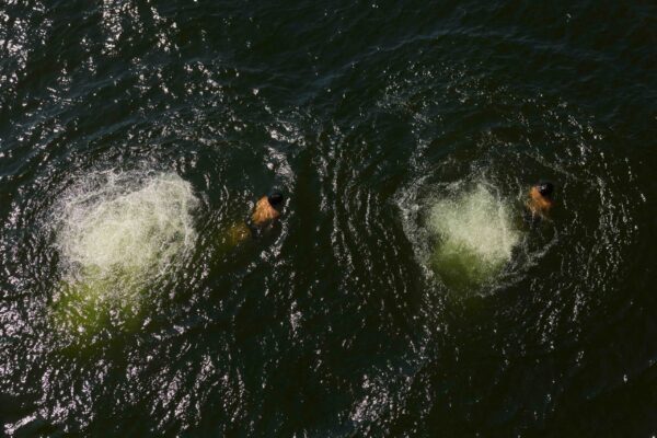  - Image 3 of 8