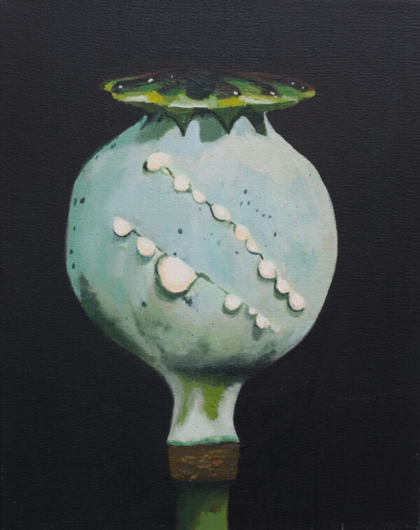 - Image 4 of 8