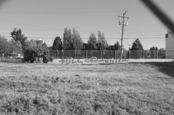  - Image 3 of 8