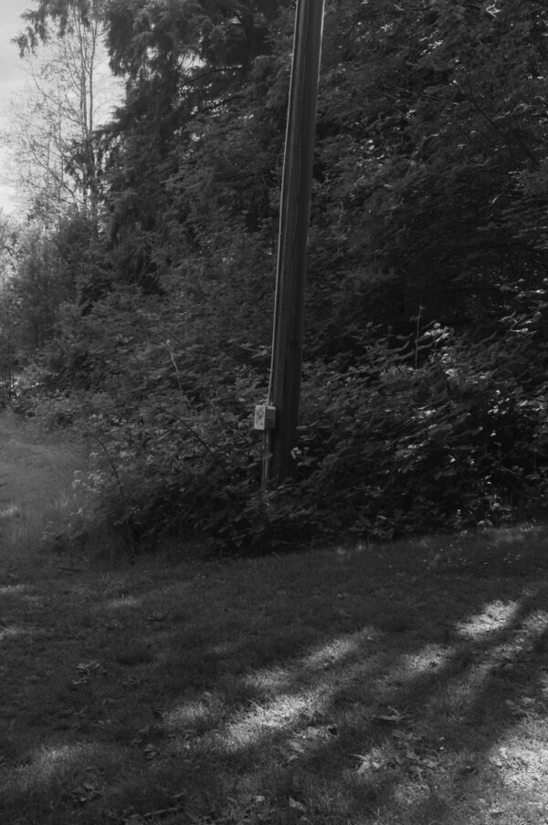  - Image 5 of 8
