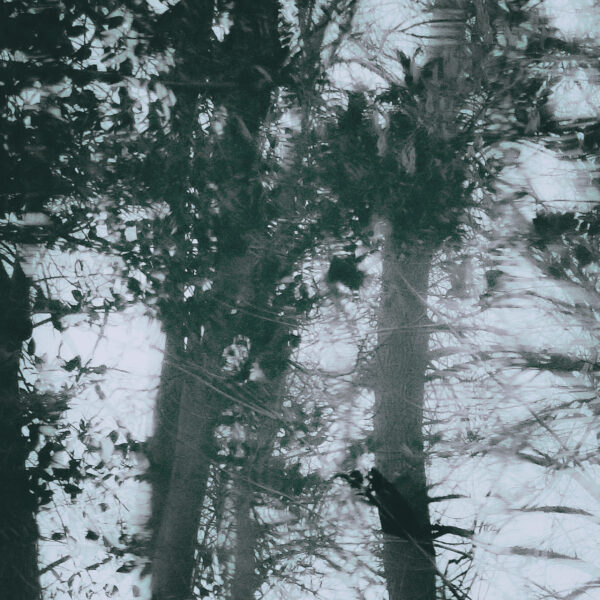  - Image 1 of 8