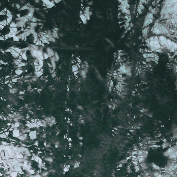  - Image 8 of 8