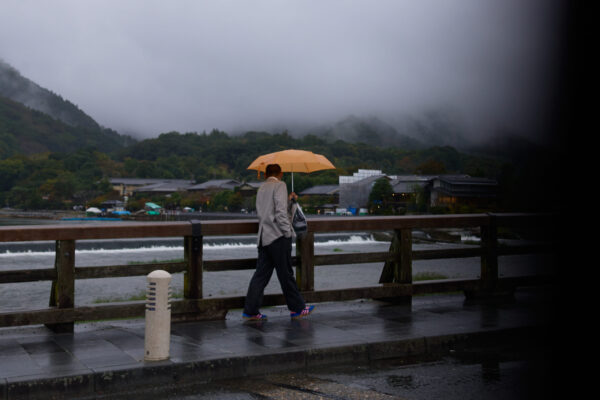  - Image 6 of 7