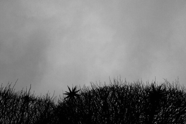  - Image 3 of 8