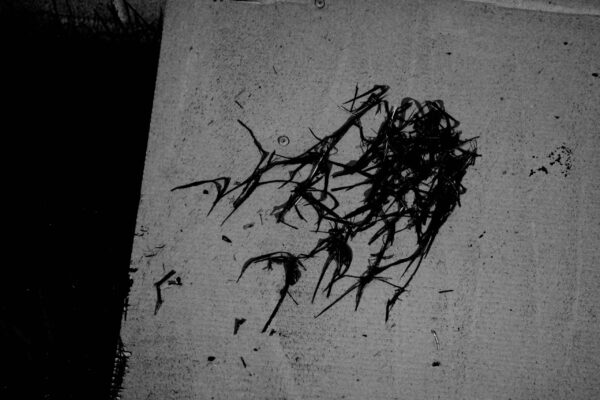  - Image 2 of 8