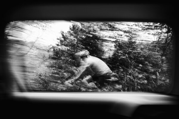  - Image 5 of 8