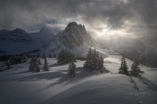  - Image 4 of 4