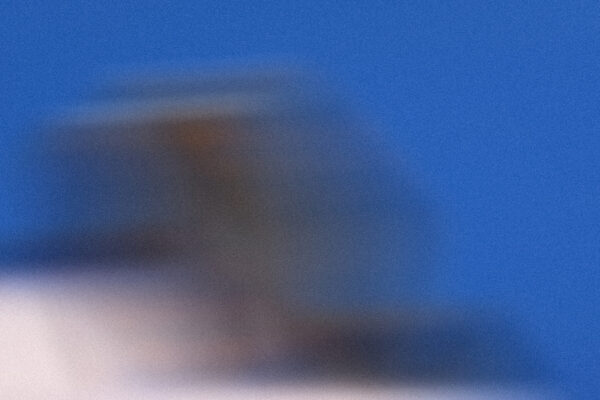  - Image 4 of 6