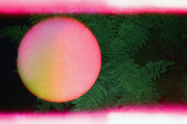  - Image 3 of 8