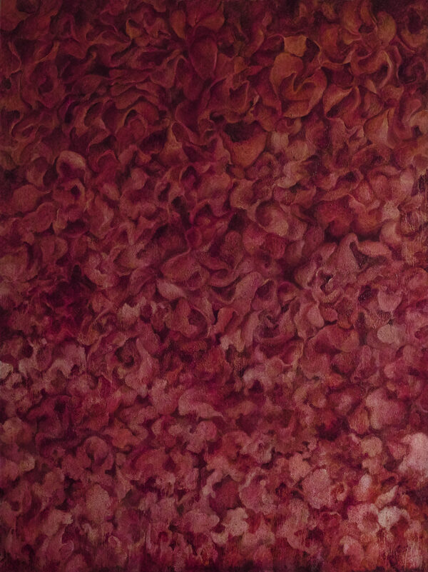  - Image 6 of 6