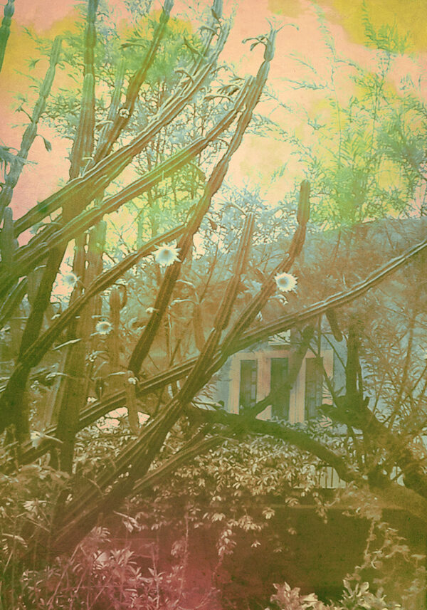  - Image 7 of 8