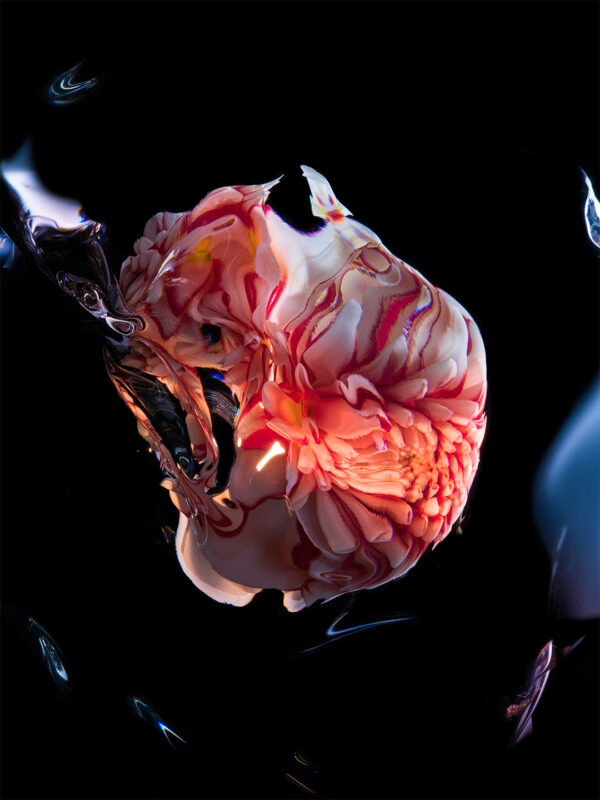  - Image 2 of 8